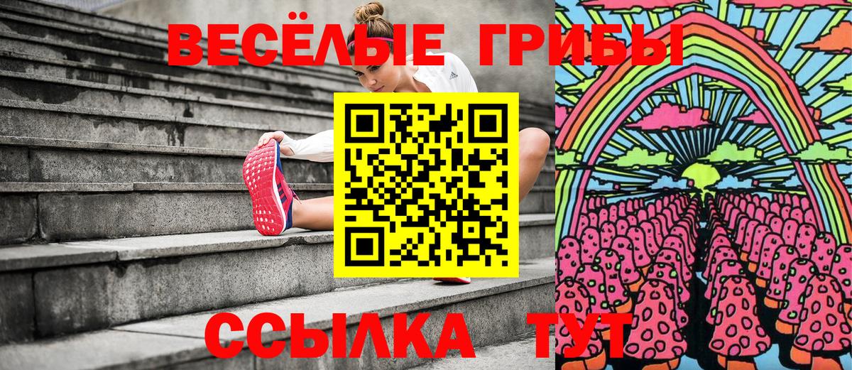 Кохма  Галлюциногенные грибы прущие грибы  Вход с VPN 