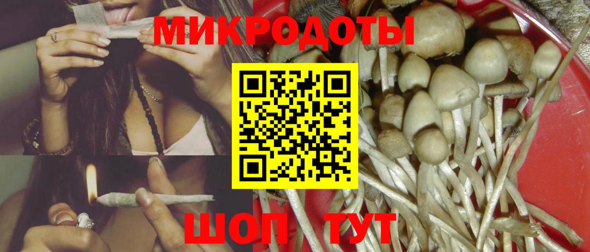Галлюциногенные грибы Psilocybine cubensis Кохма